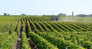 Médoc Gironde shutterstock 1499355041, mooiste campings in de Gironde