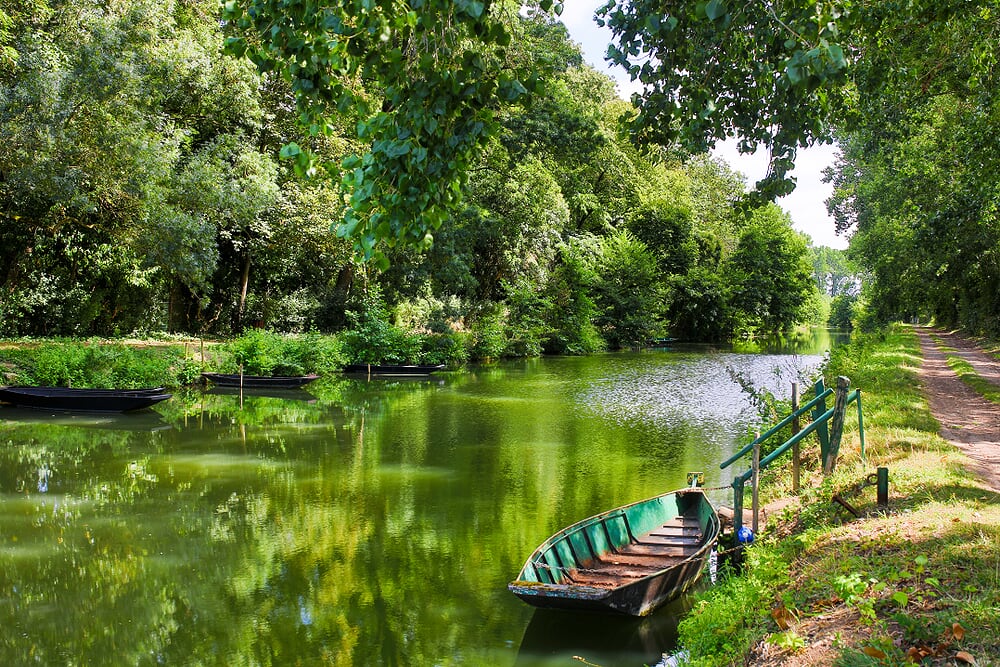 Marais Poitevin 2, Loirestreek