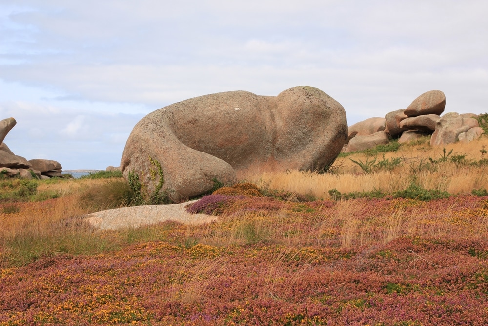 roze granietkust bretagne shutterstock 2301542433, roze granietkust