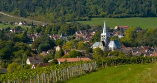 Les Riceys Cote des Bars Champagenstreek shutterstock 425728789, Picardië