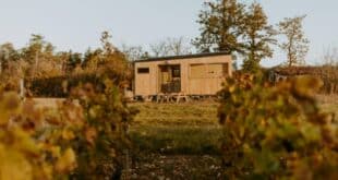 Tiny house in Les Riceys Uitgelichte afbeelding, Morvan