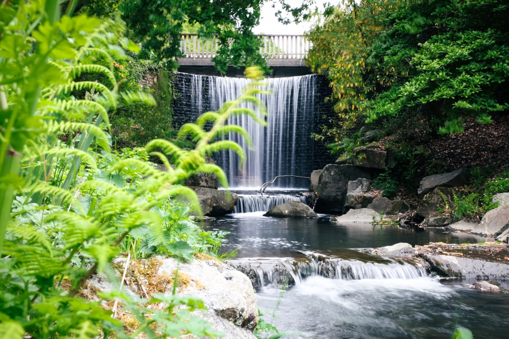 Botanische tuin in Brest