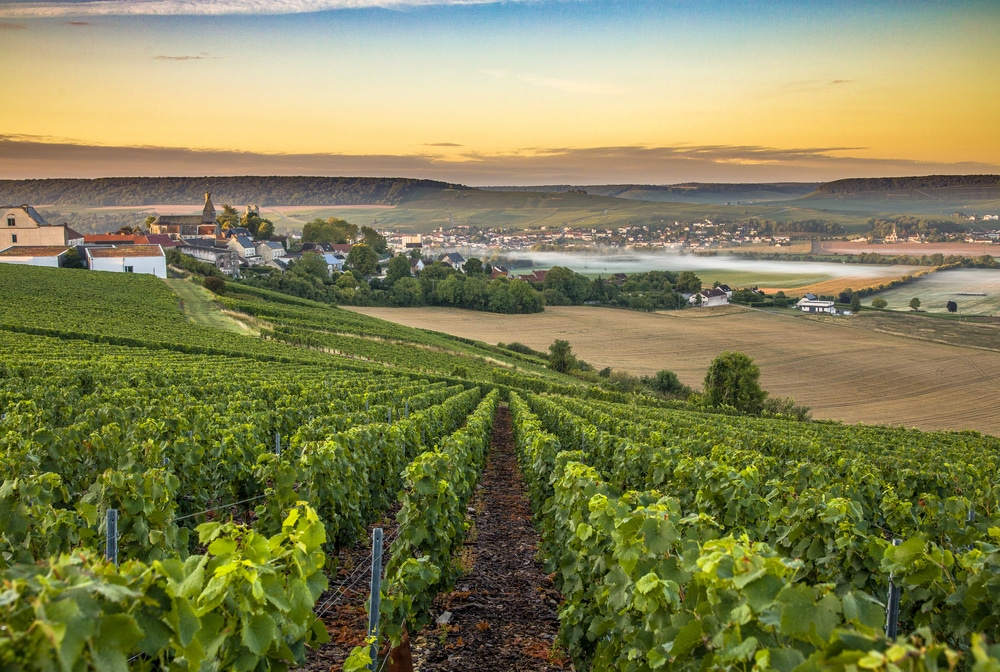 champagenstreek frankrijk shutterstock 744244648, weekendje weg in Frankrijk